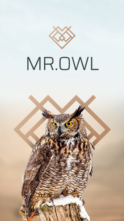 Criação de Marca - Logotipo Mr. Owl